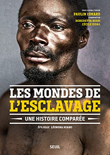 Les mondes de l'esclavage