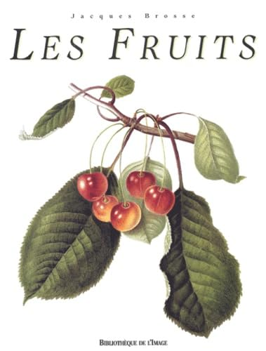 Les fruits