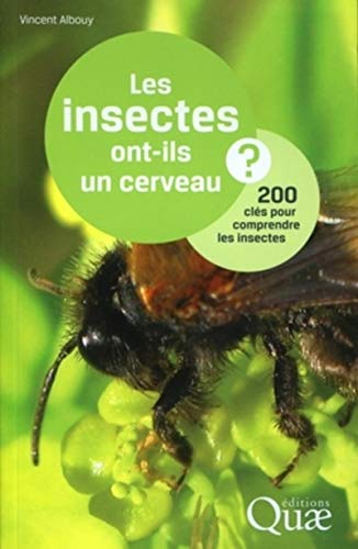 Les insectes ont-ils un cerveau ?