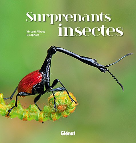 Surprenants insectes